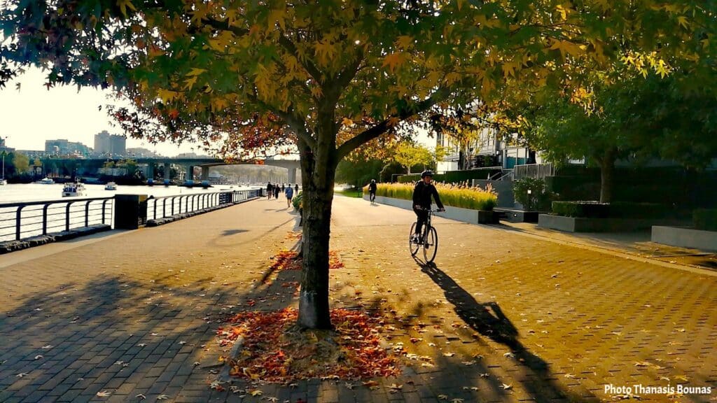 Cycling along False Creek Vancouver waterfront with trees and autumn light