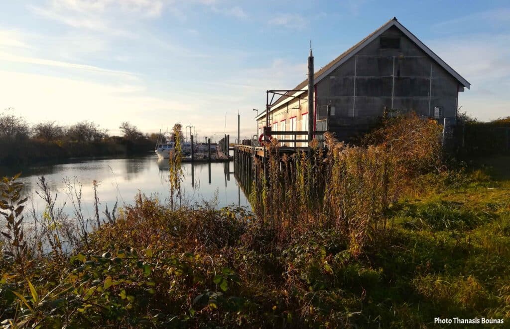 Scotch Pond Richmond quiet waterfront with old dock and natural surroundings