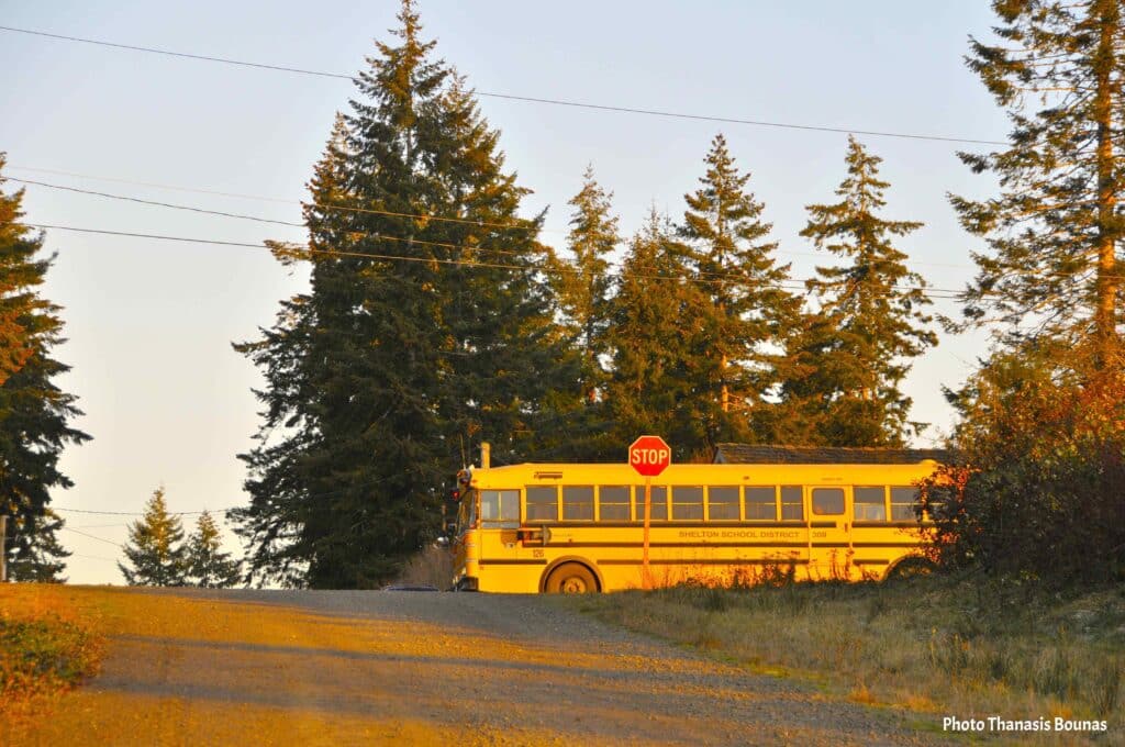 Yellow school bus at rural stop sign surrounded by evergreen trees in Washington State USA
