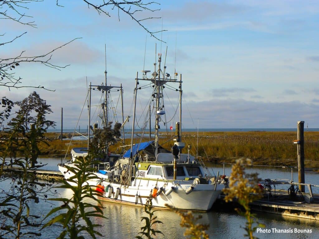Fishing boats at Scotch Pond Steveston Village Richmond British Columbia Canada
