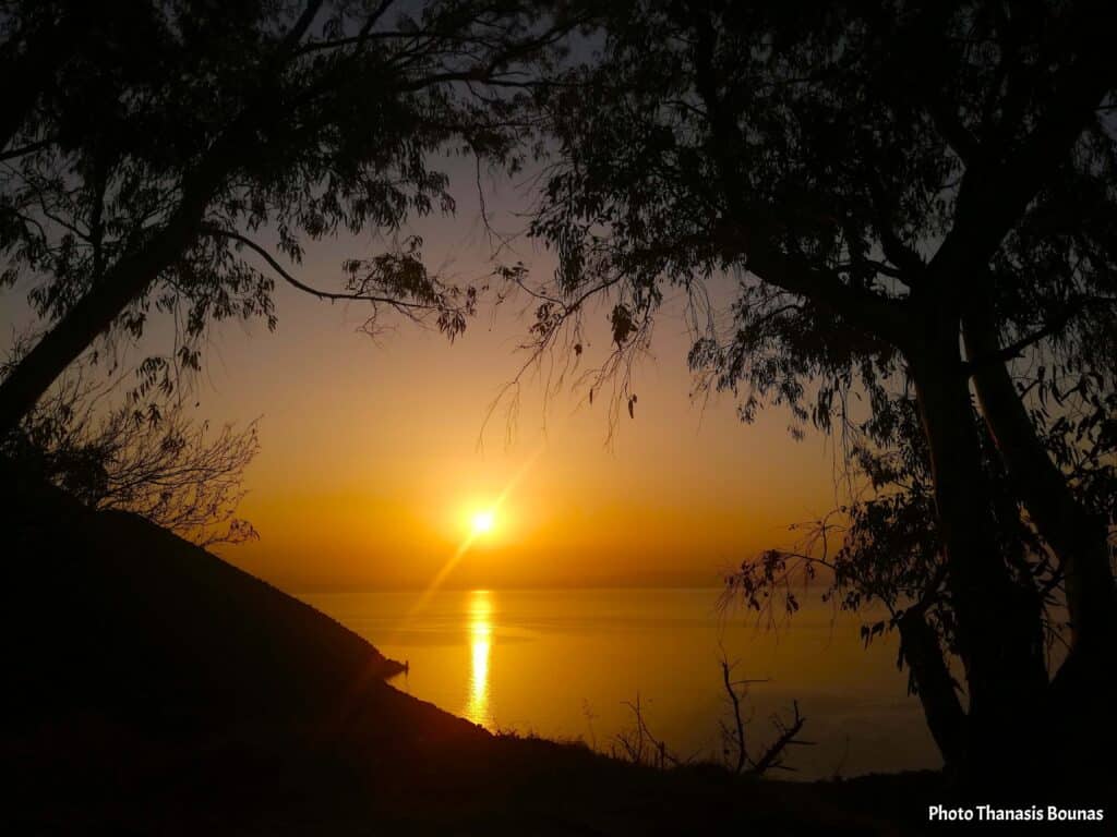 Golden sunrise over calm sea framed by trees symbolizing inner departure and psychological transition - Photo Thanasis Bounas