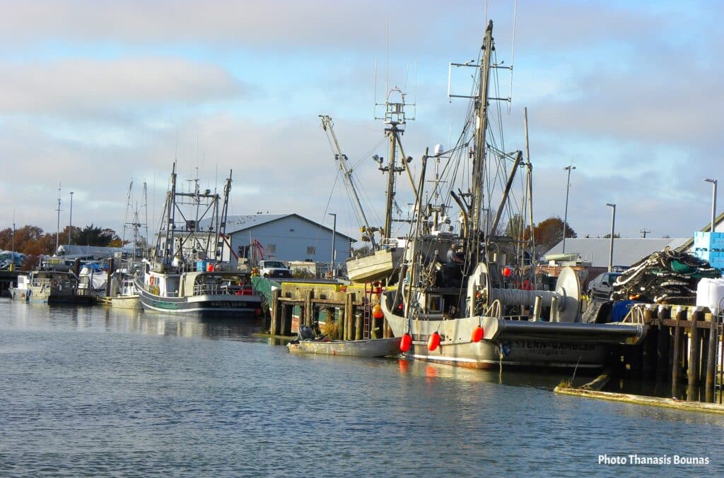 Fishing boats docked at Fisherman's Wharf Steveston Richmond British Columbia Canada
