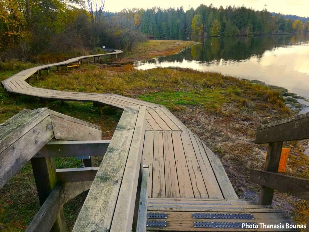Port Moody wooden boardwalk by the water with forest and peaceful nature