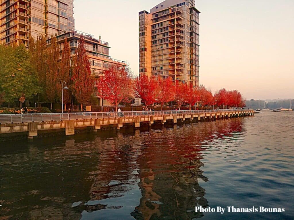 Vancouver shoreline with red autumn trees and waterfront buildings in British Columbia Canada