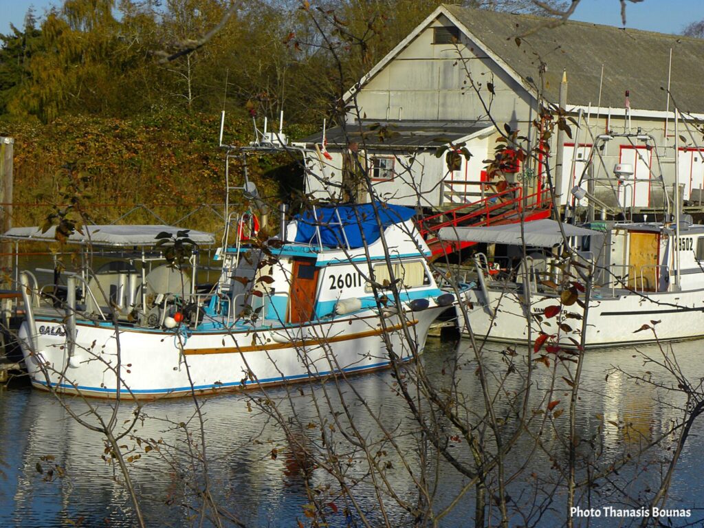 Fishing boats at Scotch Pond Steveston village Richmond British Columbia Canada
