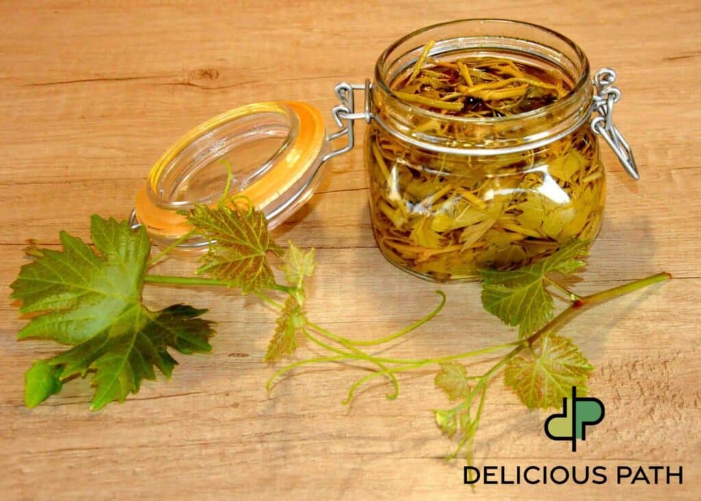 Pickled vine shoots in glass jar with fresh green leaves symbolizing surrender and transformation
