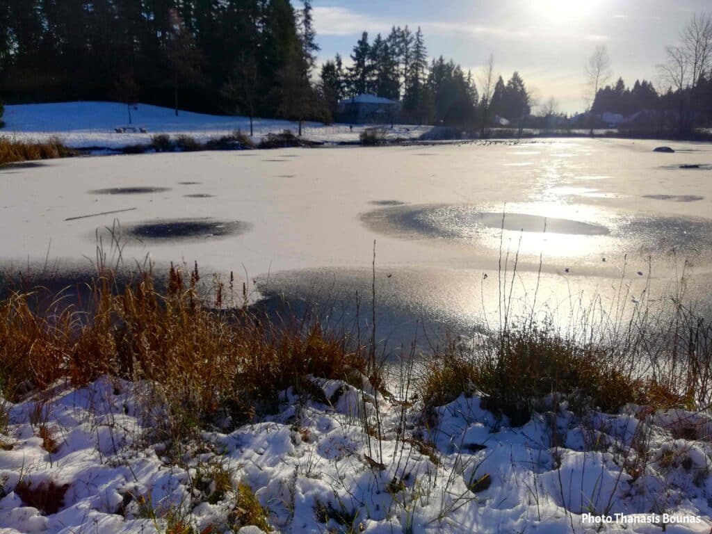 Boundary Park Surrey frozen lake in winter with snow and sunlight reflections