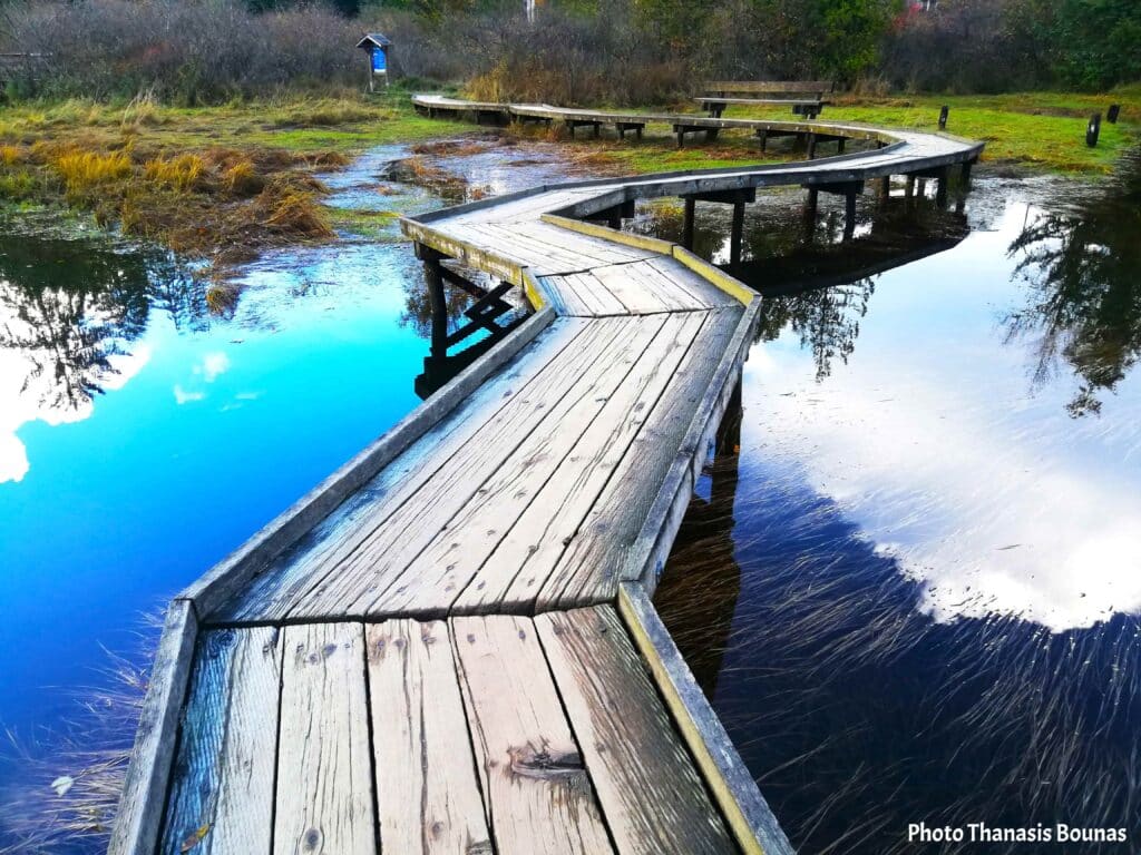 Wooden boardwalk along Shoreline Trail in Port Moody, Canada, reflecting slow travel and peaceful walking