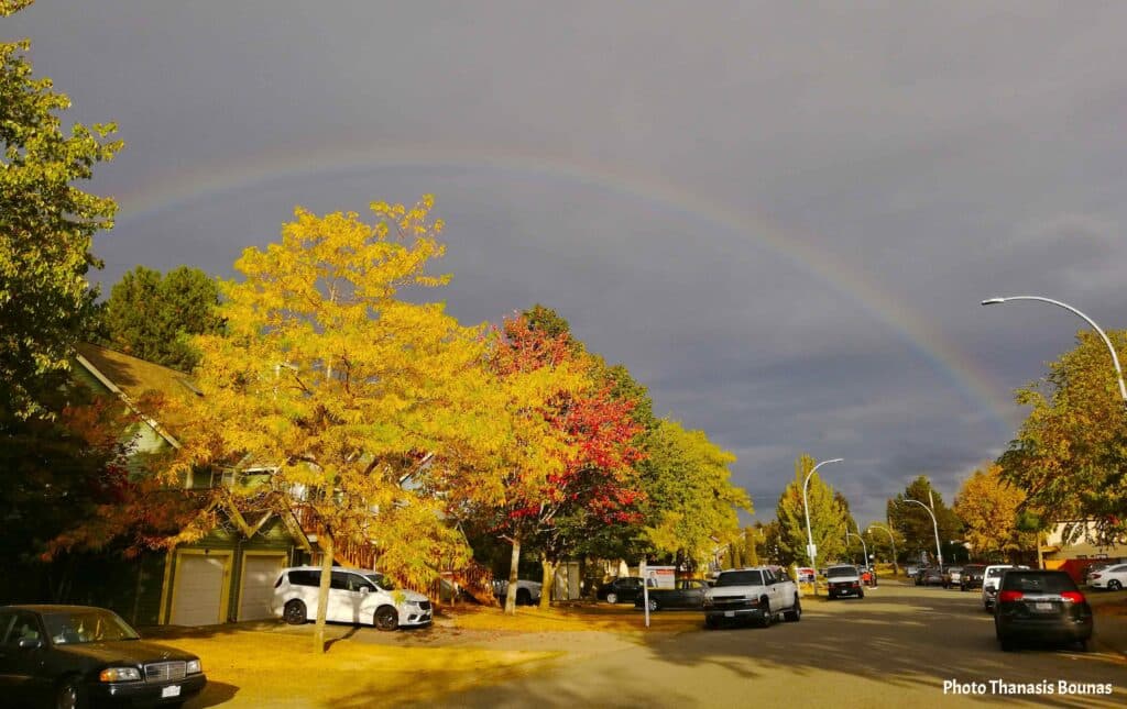 Rainbow over autumn trees and residential street in Vancouver British Columbia Canada
