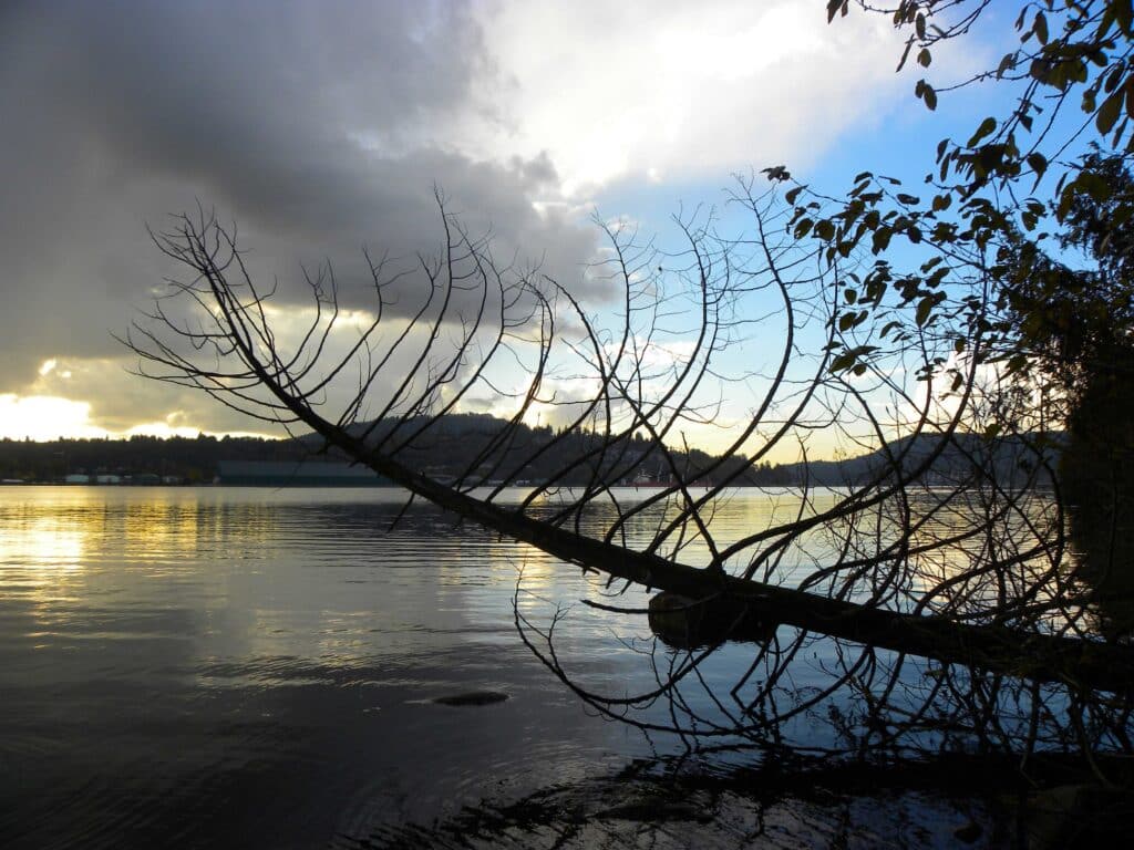 Rocky Point Park waterfront with calm water, trees, and sunset reflections in Port Moody Vancouver