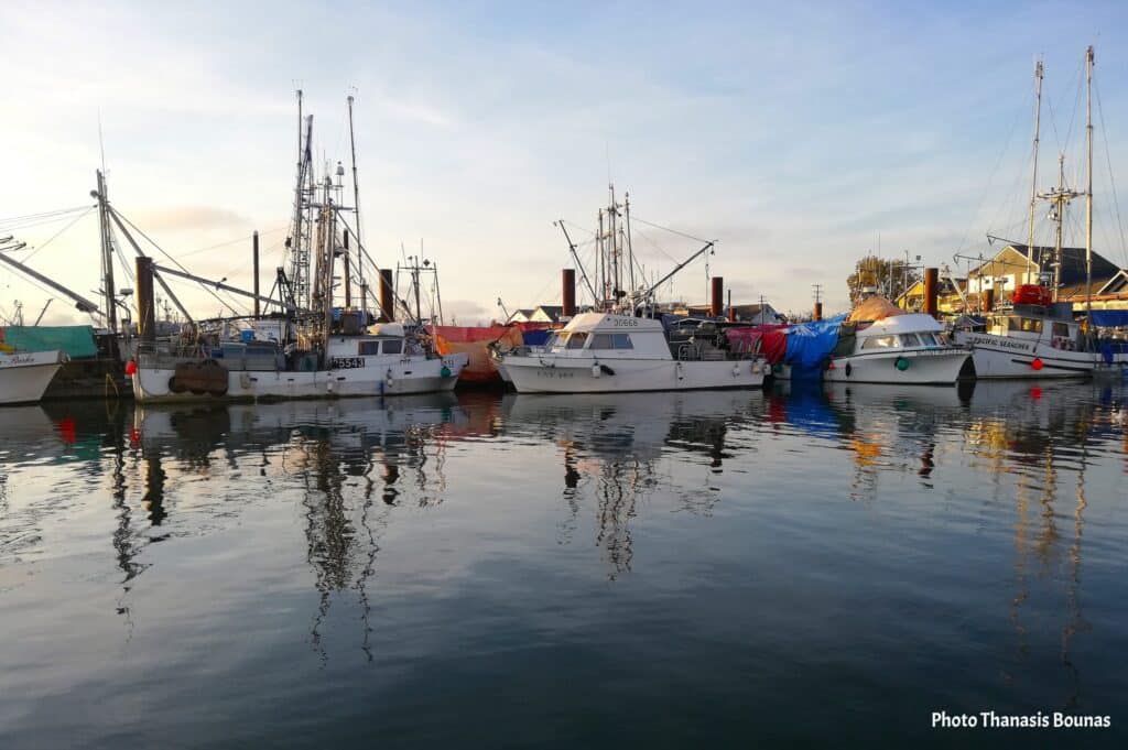 Fishing boats at harbour Fisherman's Wharf Steveston Richmond British Columbia Canada
