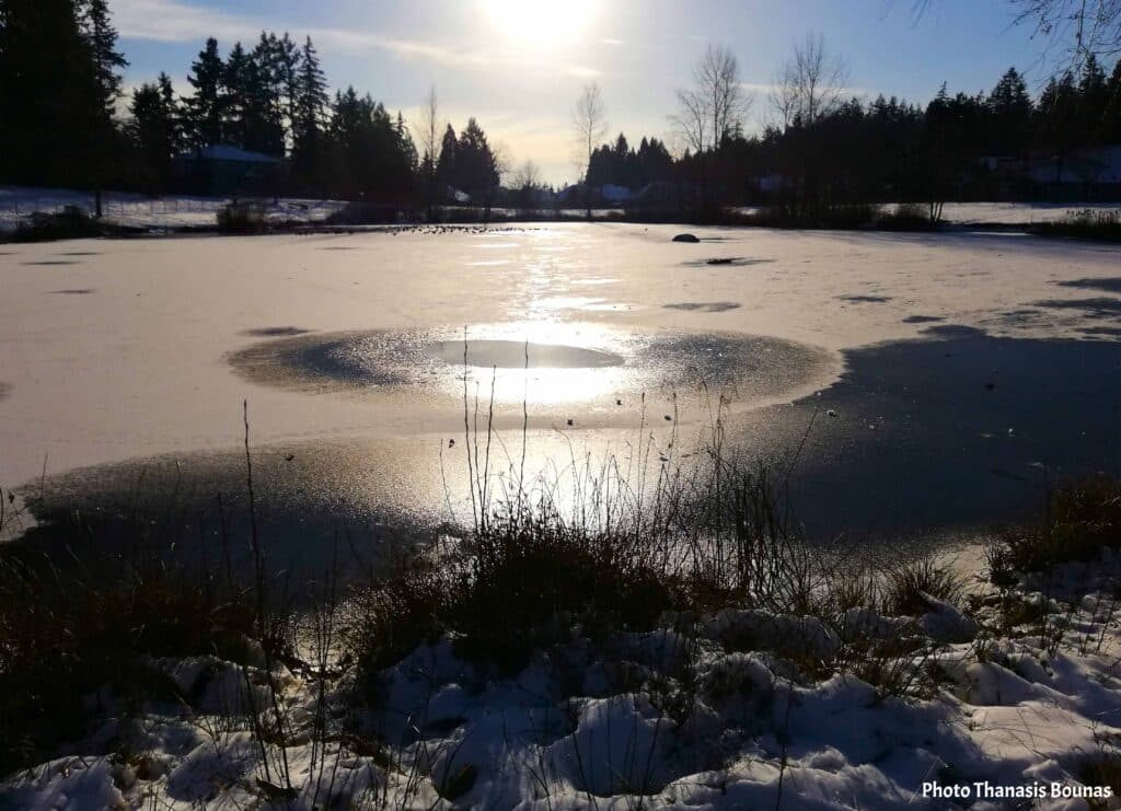 Frozen lake at Boundary Park in Surrey near Vancouver reflecting the bright winter sun