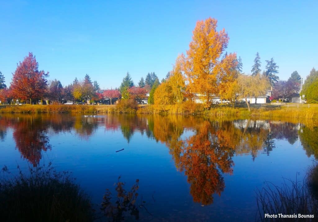 Autumn reflections on the lake at Boundary Park in Surrey Canada