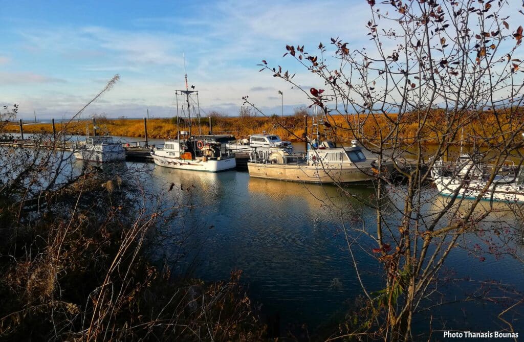 Fishing boats resting in the calm waters of Scotch Pond in British Columbia