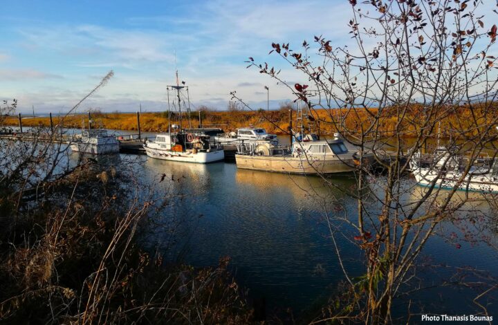 Fishing boats resting quietly at Scotch Pond in British Columbia, blending with the natural harbor landscape – Photo Thanasis Bounas