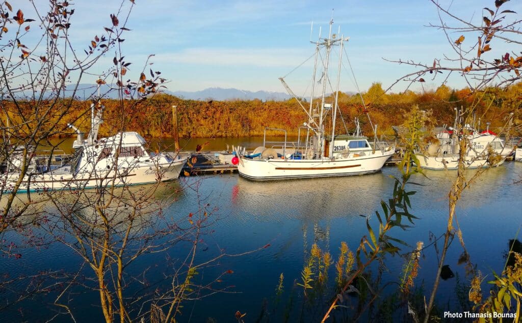 Fishing boats resting in the calm harbor of Scotch Pond in British Columbia