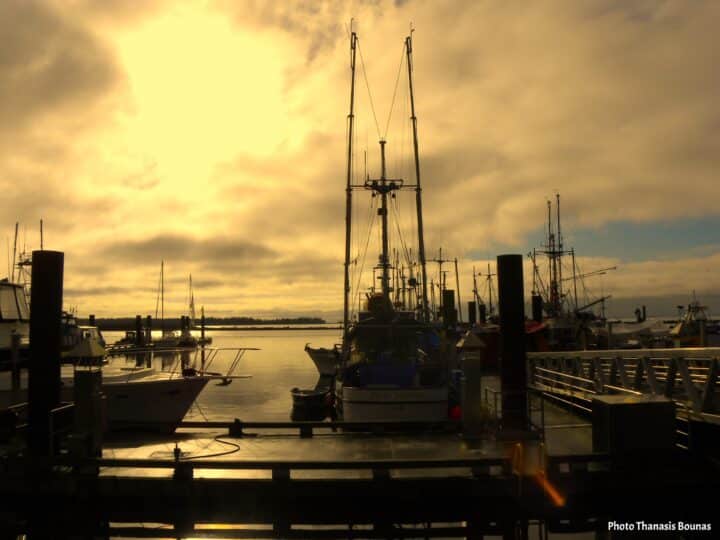 Sailing boats resting quietly in the marina as the harbor day comes to an end – Photo Thanasis Bounas