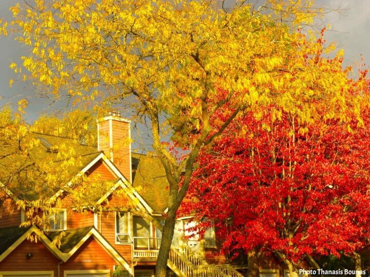 Travel in Canada during autumn feels like seeing the world in color for the first time – Photo Thanasis Bounas