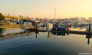 Golden light reflecting on the calm waters of False Creek in Yaletown, Vancouver. Photo By Thanasis Bounas
